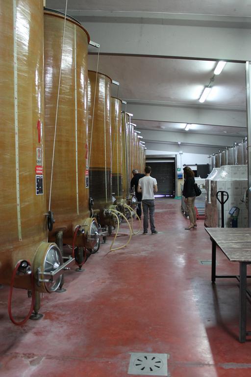 קסטלווטרו די מודנה Agriturismo Le Casette מראה חיצוני תמונה