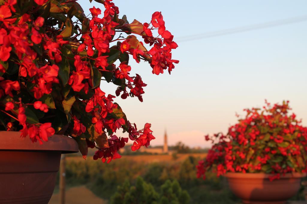 קסטלווטרו די מודנה Agriturismo Le Casette מראה חיצוני תמונה