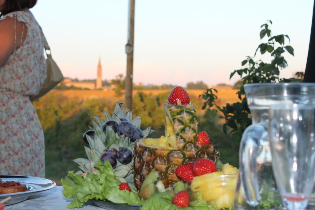 קסטלווטרו די מודנה Agriturismo Le Casette מראה חיצוני תמונה